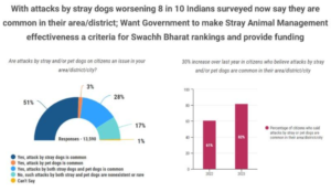 Stray Dogs attack 