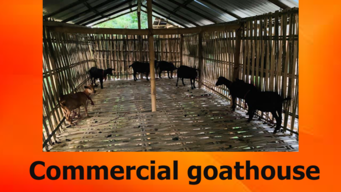 Commercial goat house