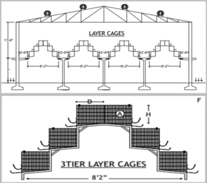 Housing Layers – cage system 