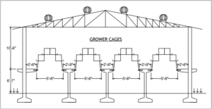 Housing Layers – cage system 