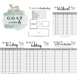 IMPORTANCE OF RECORDS IN GOAT FARM