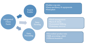 Large Scale Dairy Farms