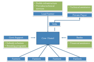 Lead Farmer Model