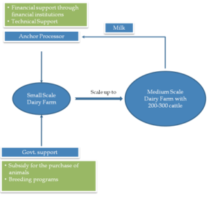 Progressive Dairy Farming Model