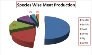 Species wise Meat production (India)    