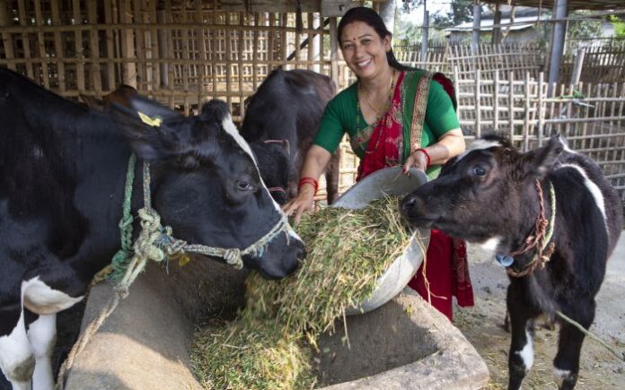 Women Empowerment In Veterinary Sector