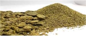 Canola Meal as feed ingredient
