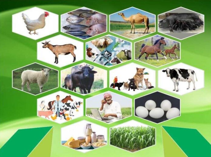 Ration/Feeding Schedule with Formulations for various Species of Livestock and Poultry Recommended by Animal Husbandry Department