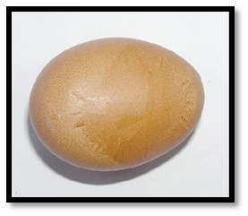 Flat /slab sided egg