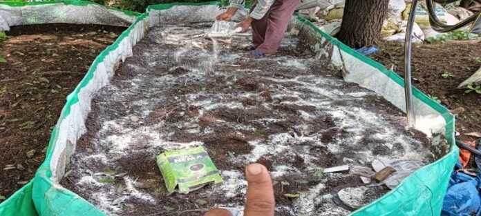 Enriched vermicompost production