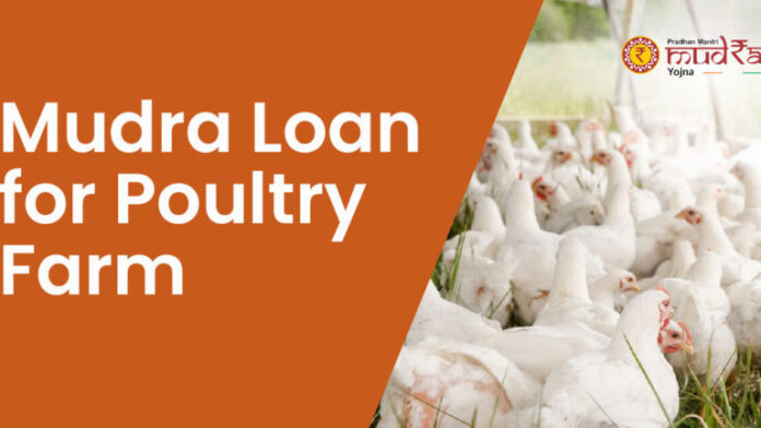 MUDRA Loans for Poultry Farming