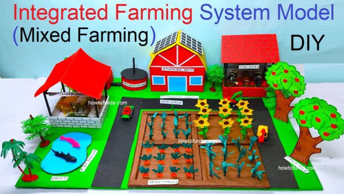 Integrated Farming System (IFS)