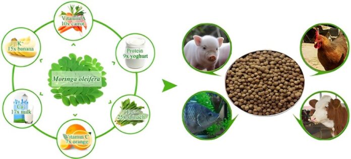 Non-conventional Feed Resources - An Overviews Non-conventional Feed Resources - An Overviews