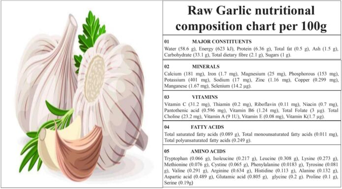 Therapeutic Potential of Garlic for Ruminants