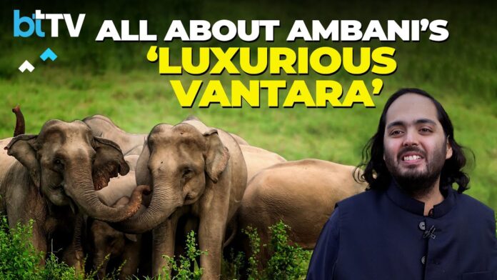 Vantara a Great Initiative by Shri Anant Mukesh Ambani for Injured and Endangered Animals.