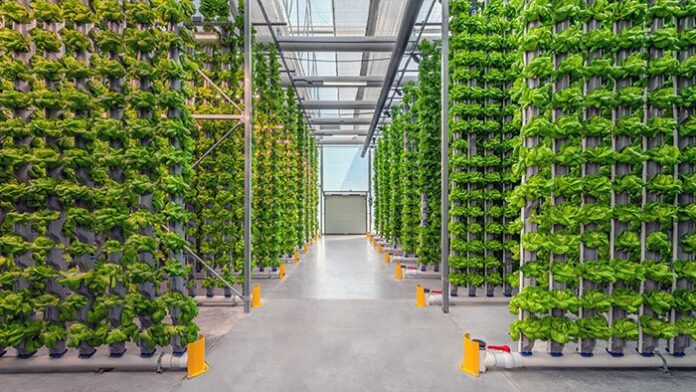Vertical Farming and Indoor Agriculture