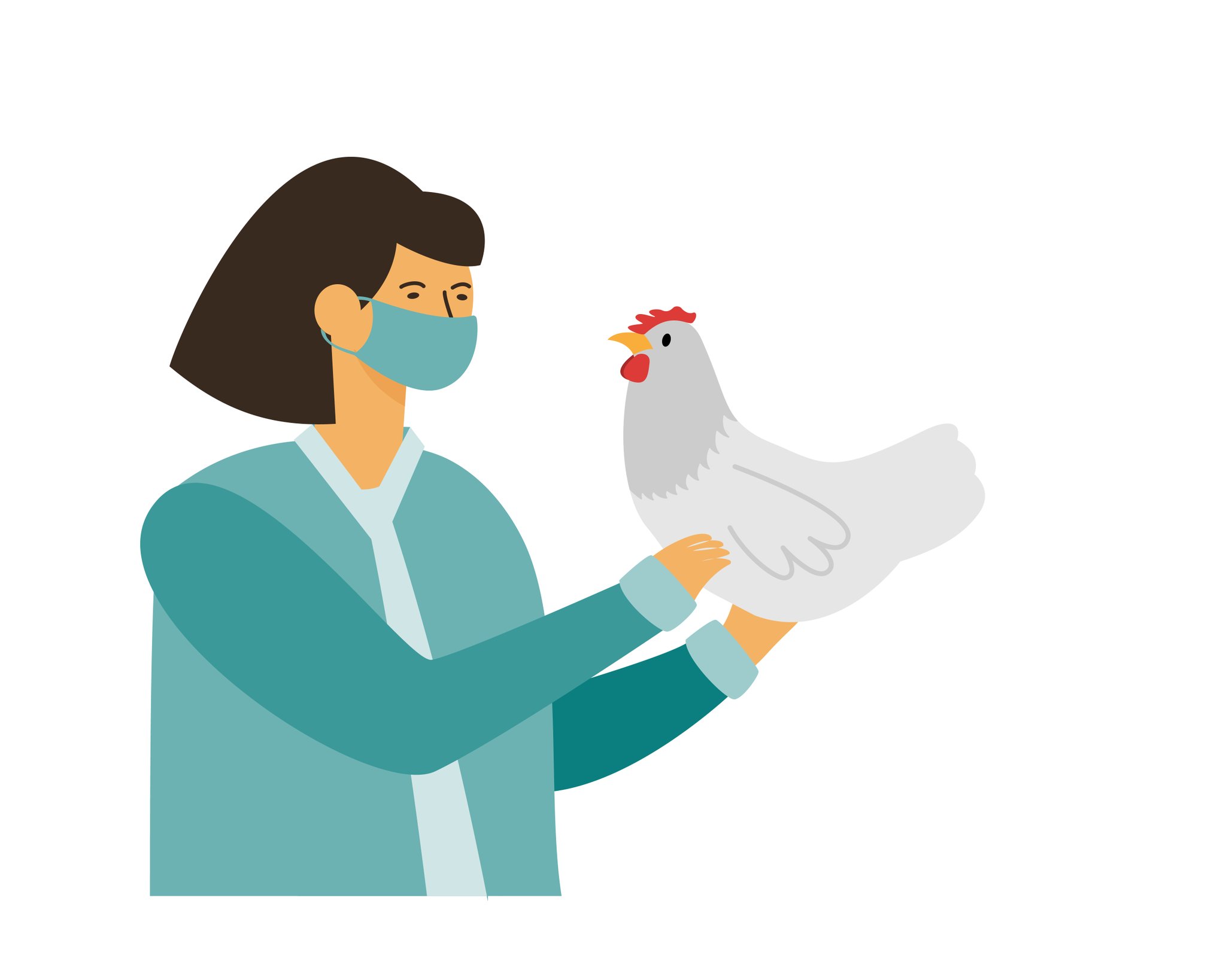 BIRD’S FLU OUTBREAK IN SOCIAL MEDIA RUMOURS, MYTHS & STRATEGIES TO