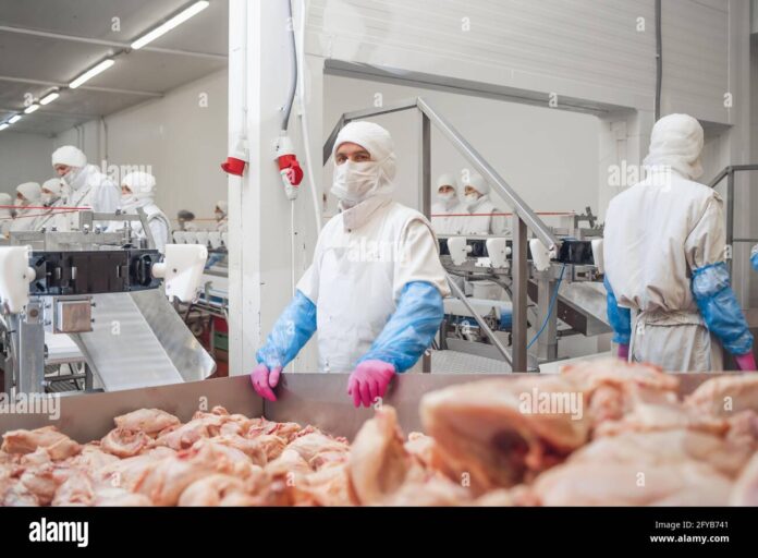 Detailed Project Report (DPR)  on Meat Processing Unit
