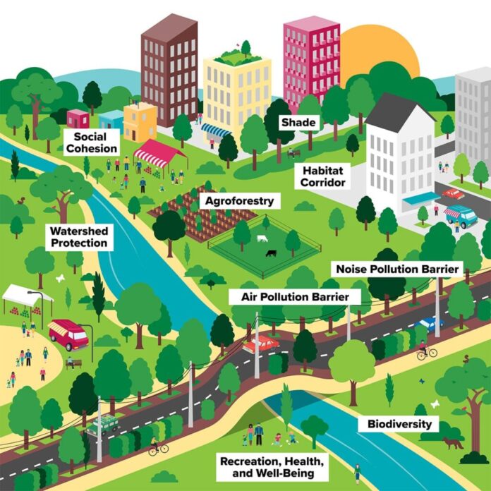 URBAN FOREST Urban Forestry in India: Integrating Green Spaces into Urban Landscapes