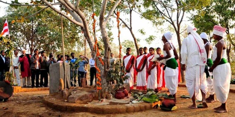 Sarna: Sacred Groves of Jharkhand – Guardians of Tribal Heritage and ...