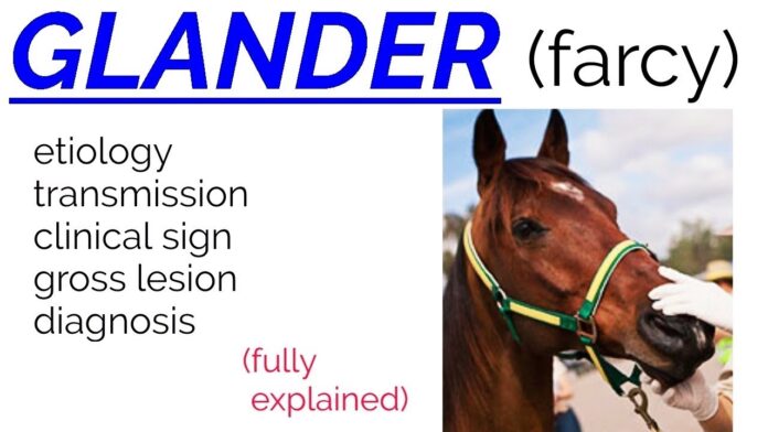 National Action Plan for Control and Eradication of Glanders in India