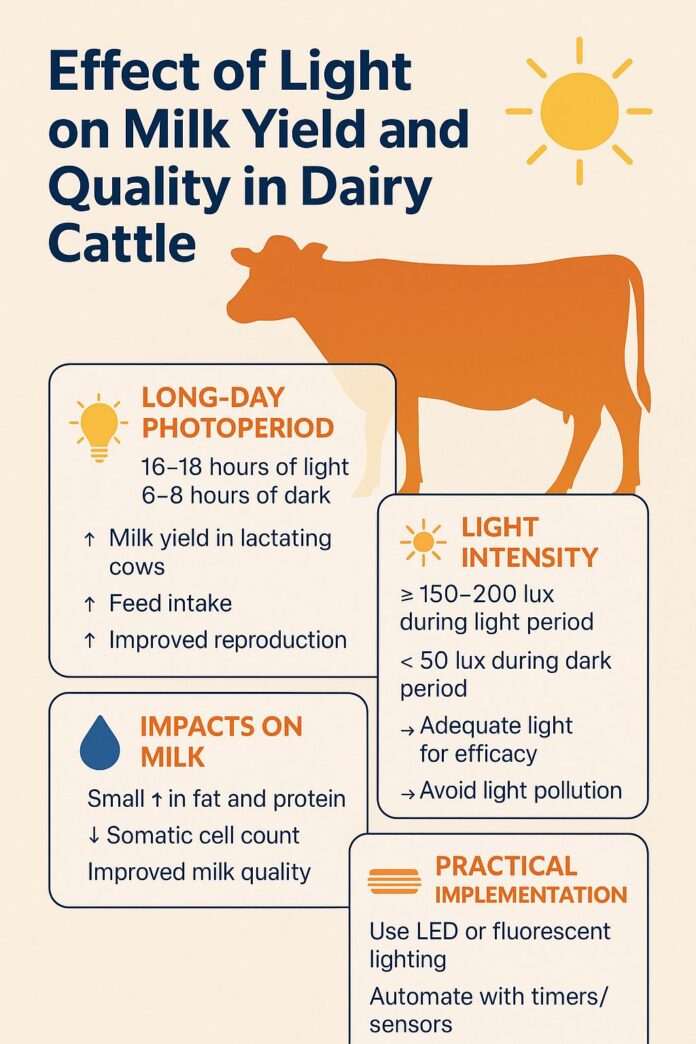 Effect of Light on Milk Yield and Quality in Dairy Cattle