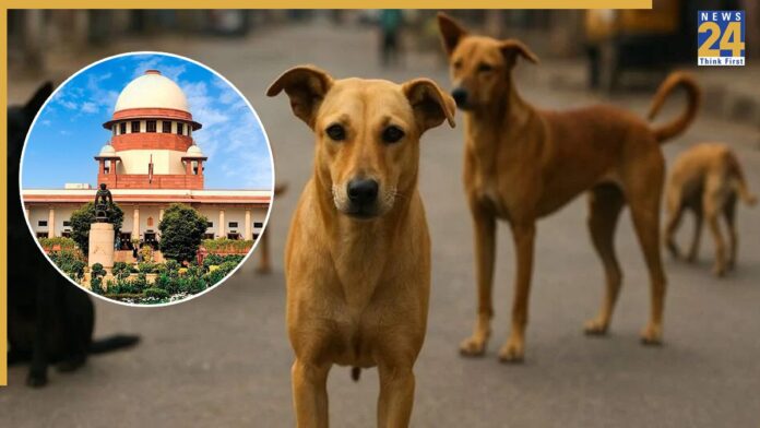 Mandatory Registration of Pet Dogs and Cats in Jharkhand: Supreme Court Directives Now Enforced Across the State Including Jamshedpur