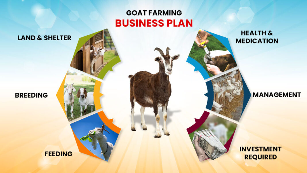 Goat Income Prospects of Goat farming and SWOT analysis - Pashudhan Praharee