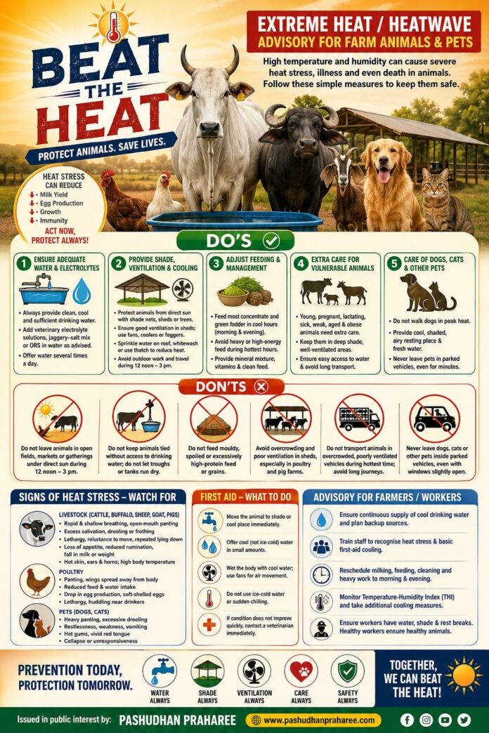 Heatwave Alert: A Comprehensive Guide to Safeguarding Livestock, Birds, and Pets