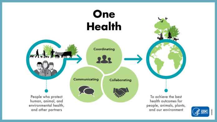 302365-C_NCEZID_SM_1200x675_Update_OneHealth_graphic