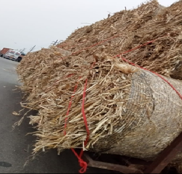 Picture1 Corn stalk block